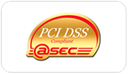 PCI DSS