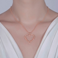 heart necklace