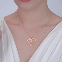 heart necklace