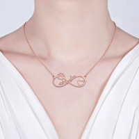 Anpassad Infinity Paw Print Name Necklace i rosaguld